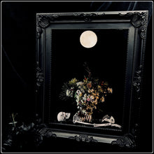 Load image into Gallery viewer, Egredior- Limited Edition Fine Art Photographic Print