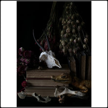 Load image into Gallery viewer, Untitled 30 - Limited Edition Fine Art Photographic Print
