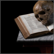 Load image into Gallery viewer, Brevis - Limited Edition Fine Art Photographic Print