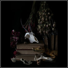 Load image into Gallery viewer, Untitled 30 - Limited Edition Fine Art Photographic Print