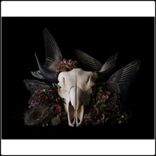 Load image into Gallery viewer, Untitled 72 - Limited Edition Fine Art Photographic Print