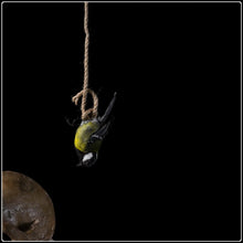 Load image into Gallery viewer, Brevis - Limited Edition Fine Art Photographic Print