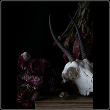 Load image into Gallery viewer, Untitled 30 - Limited Edition Fine Art Photographic Print