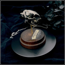 Load image into Gallery viewer, Domestic Cat Skull Pendant - White Bronze