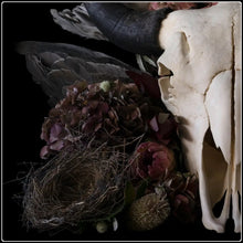 Load image into Gallery viewer, Untitled 72 - Limited Edition Fine Art Photographic Print