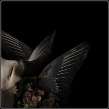 Load image into Gallery viewer, Untitled 72 - Limited Edition Fine Art Photographic Print