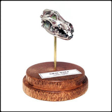 Load image into Gallery viewer, Gray Wolf Skull Pendant - White Bronze - #intotheblack#