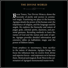 Load image into Gallery viewer, Three Books Of Occult Philosophy - #intotheblack#