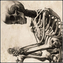 Load image into Gallery viewer, Vintage Anatomy Sitting Skeleton - #intotheblack#