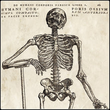 Load image into Gallery viewer, Vintage Anatomy Skeleton Standing - #intotheblack#
