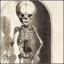 Load image into Gallery viewer, Vintage Anatomy Small Skeleton - #intotheblack#