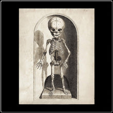 Load image into Gallery viewer, Vintage Anatomy Small Skeleton - #intotheblack#