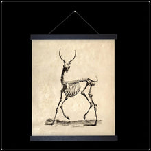 Load image into Gallery viewer, Vintage Deer Skeleton - #intotheblack#