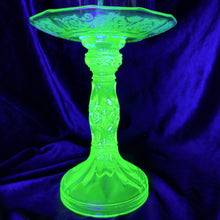 Load image into Gallery viewer, Javanimetrus cyaneus in Uranium Glass Display
