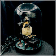 Load image into Gallery viewer, Victorian Steampunk Chick- “The Bookworm”
