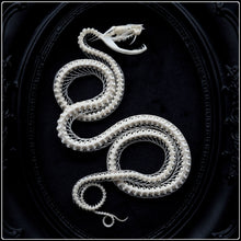 Load image into Gallery viewer, Viper Skeleton in Gothic Antique Style Frame
