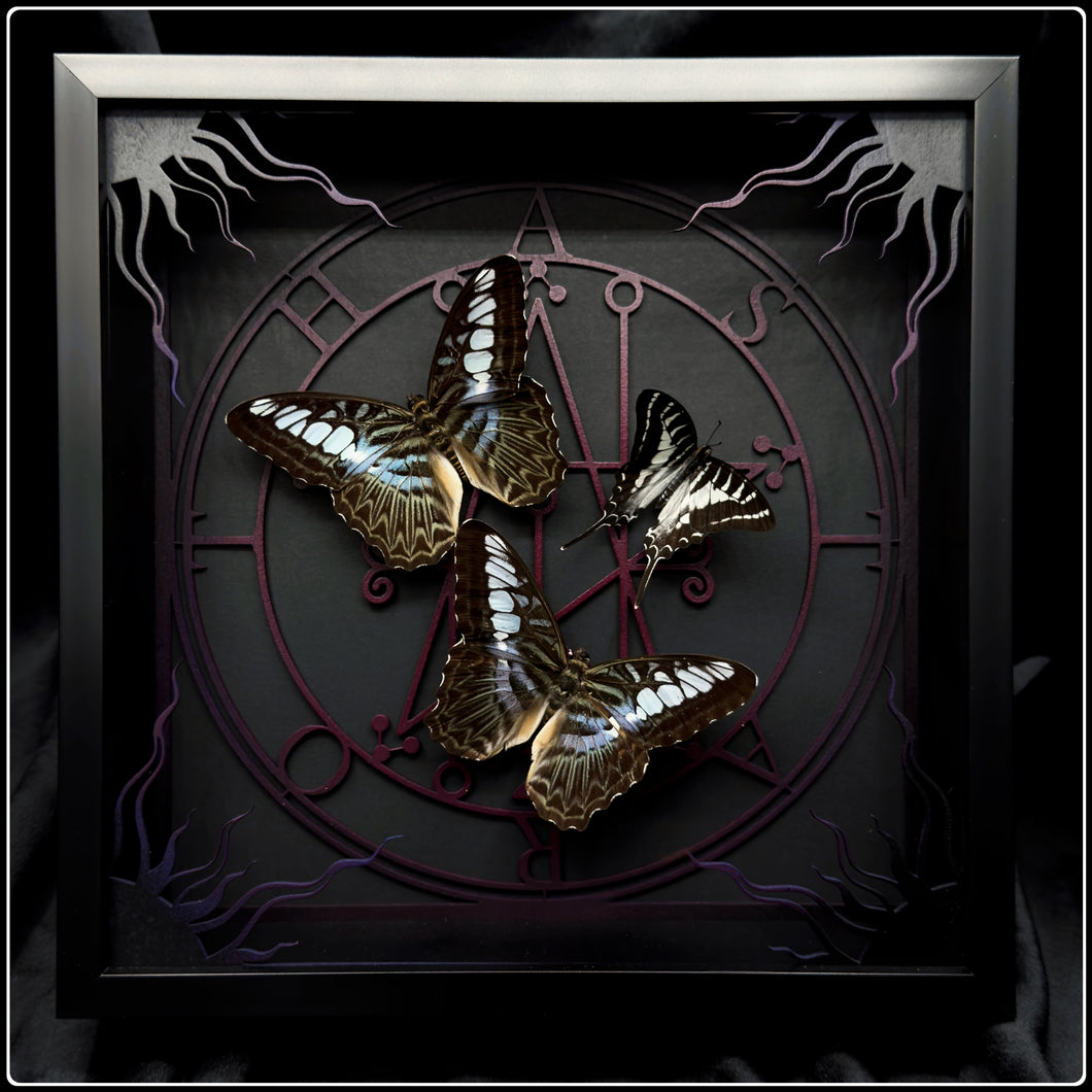 Parthenos Sylvia Astaroth Sigil Frame