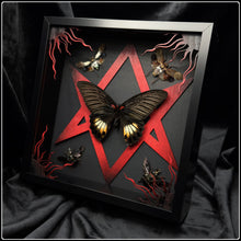 Load image into Gallery viewer, Papilio memnon, Planthopper and Bee Unicursal Hexagram Frame
