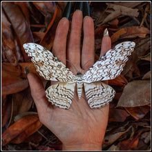 Load image into Gallery viewer, ‘Witch’ Halloween Moth Set
