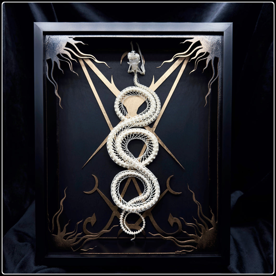 Trimeresurus stejnegeri Lucifer Sigil Frame