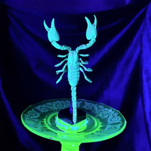 Load image into Gallery viewer, Javanimetrus cyaneus in Uranium Glass Display
