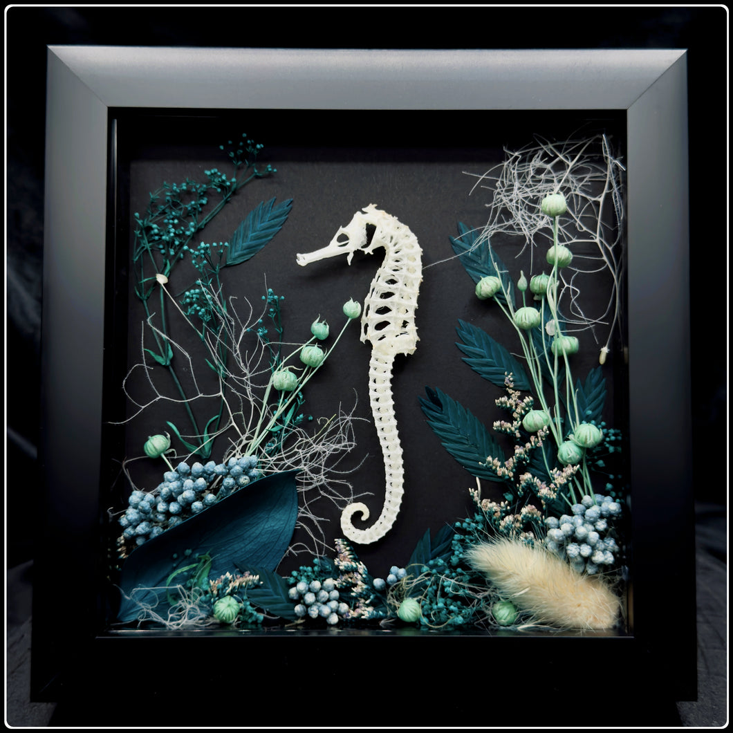 Seahorse Skeleton with Botanicals