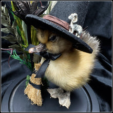 Load image into Gallery viewer, Witch Duckling - ‘Hilda’
