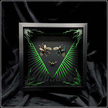 Load image into Gallery viewer, Beetle Trio Frame Inversus Frame
