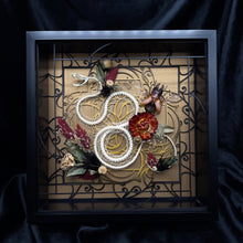 Load image into Gallery viewer, Rolling White Lipped Viper Skeleton Shadow Box
