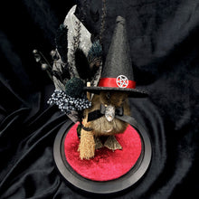 Load image into Gallery viewer, Witch Duckling - ‘Raven’
