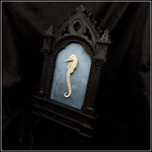 Load image into Gallery viewer, Seahorse Skeleton on Cathedral Frame
