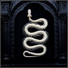 Load image into Gallery viewer, Snake Skeleton on Cathedral Frame
