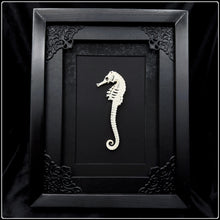 Load image into Gallery viewer, Seahorse Skeleton Frame
