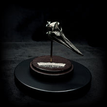 Load image into Gallery viewer, Right Whale Dolphin Pendant - White Bronze
