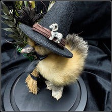 Load image into Gallery viewer, Witch Duckling - ‘Hilda’
