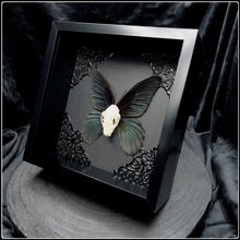 Load image into Gallery viewer, Skull with Butterfly Wings in Frame
