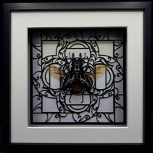 Load image into Gallery viewer, Odontolabis dalmanni Shadow Box Frame
