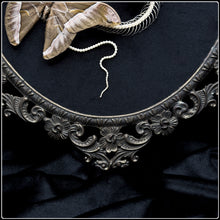 Load image into Gallery viewer, Snake Skeleton &amp; Samia insularis Moths in Antique Frame
