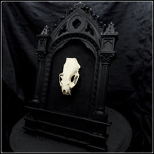 Load image into Gallery viewer, European Mink Skull on Cathedral Frame
