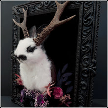 Load image into Gallery viewer, Taxidermy Jackalope on Antique Frame
