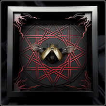 Load image into Gallery viewer, Lepidiota stigma Heptogram Frame
