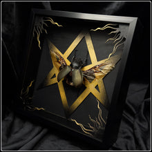 Load image into Gallery viewer, Chalcosoma atlas Unicursal Hexagram Frame
