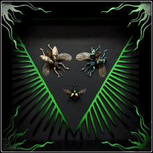 Load image into Gallery viewer, Beetle Trio Frame Inversus Frame
