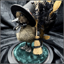 Load image into Gallery viewer, Witch Duckling - ‘Zelah’
