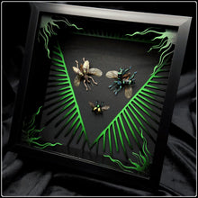 Load image into Gallery viewer, Beetle Trio Frame Inversus Frame
