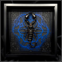 Load image into Gallery viewer, Heterometrus cyaneus Vanguard Frame - UV Reactive
