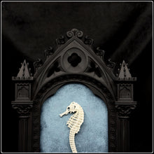 Load image into Gallery viewer, Seahorse Skeleton on Cathedral Frame
