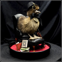 Load image into Gallery viewer, Victorian Duckling - ‘Professor Caspian Frederickton’
