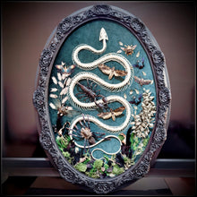 Load image into Gallery viewer, Snake Skeleton &amp; Preserved Specimens in Antique Frame
