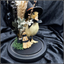 Load image into Gallery viewer, Witch Duckling - ‘Hazel’
